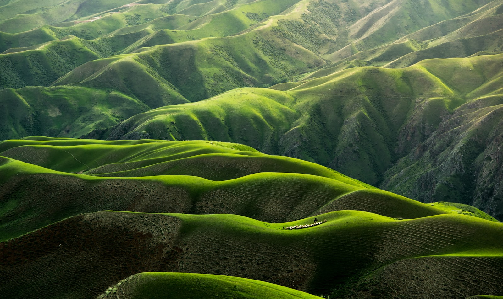 Green landscape